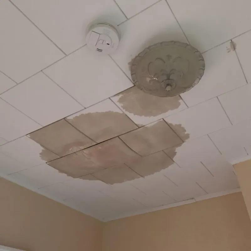Ceiling Water Damage Repair in Cheshire Village, CT