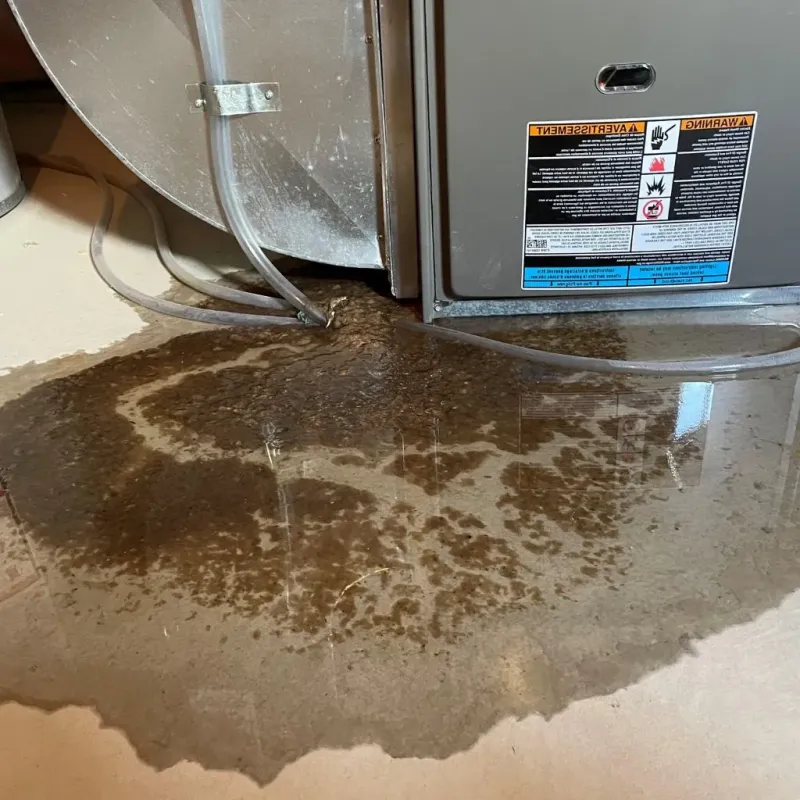 Pipe Burst and Leak Restoration in Cheshire Village, CT